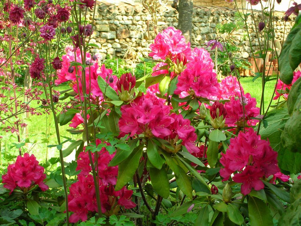 Le Logis Du Four Bed & Breakfast Soudan  Luaran gambar